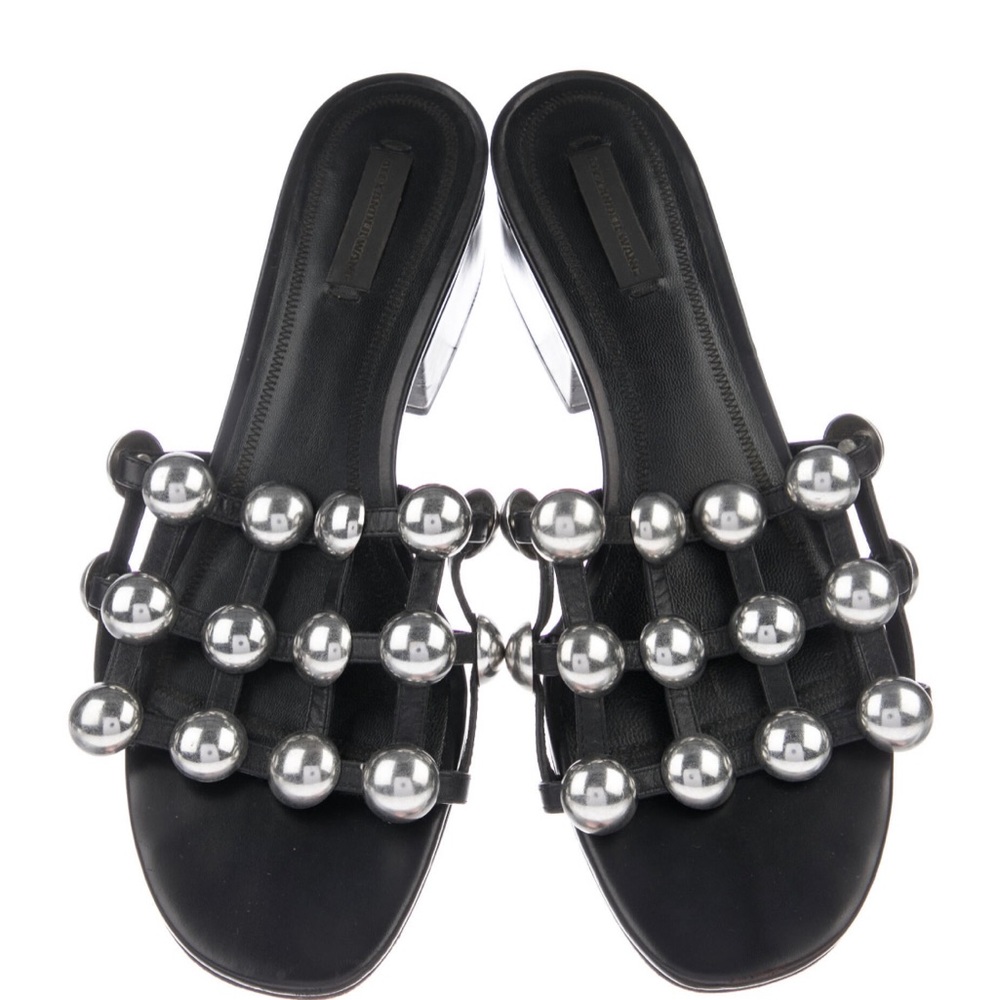 🔥Alexander Wang Shoes 🔥 Special Edition
